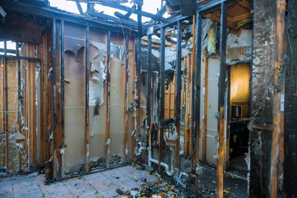 Professional Structural Rebuild technician working in Bridgeport, TX